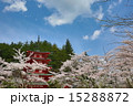 五重塔と桜vol.6 15288872
