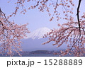 河口湖から見た富士山と桜vol.10 15288889