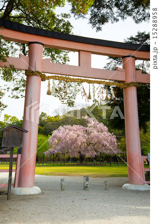 上賀茂神社 15288958