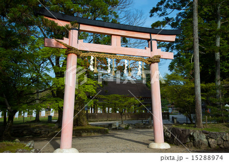 鳥居 鳥居 15288974