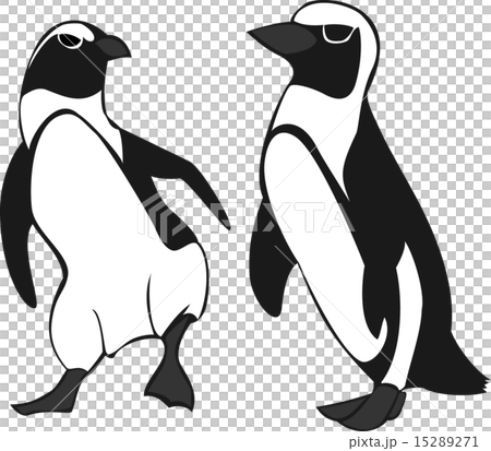 ケープペンギンのイラスト素材 ケープペンギンのイラスト素材