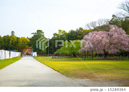 上賀茂神社 15289364