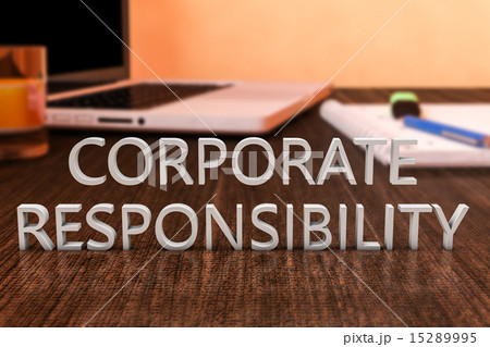 Corporate Responsibility 15289995