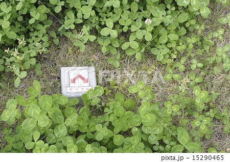 地中ケーブル2 左 地中ケーブル2 左 15290465