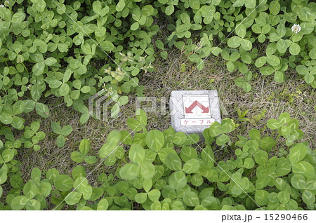 地中ケーブル３　右 15290466