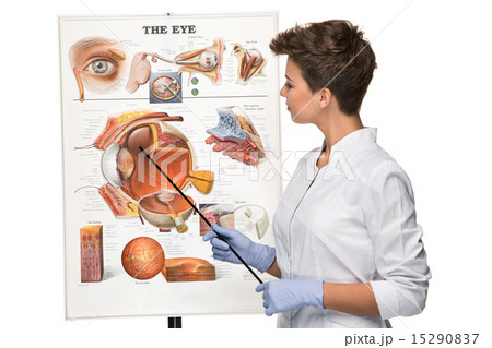 Optician or oculist woman tells about structure of the eye 15290837