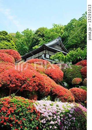 つつじ寺・神木山等覚院 15291013