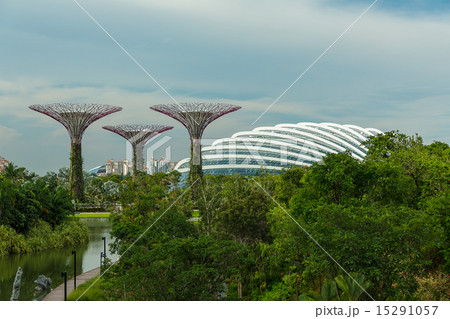 SINGAPORE - MAY 12 SINGAPORE - MAY 12 15291057