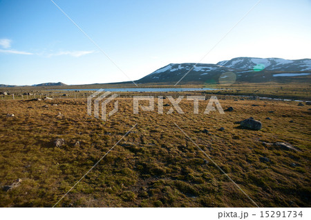 Mountain plateau Valdresflye, Jotunheimen, Norway 15291734