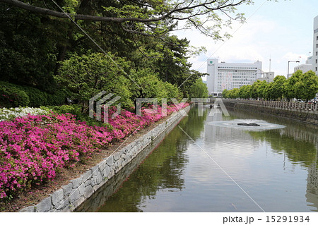 お堀と松山市役所 お堀と松山市役所 15291934