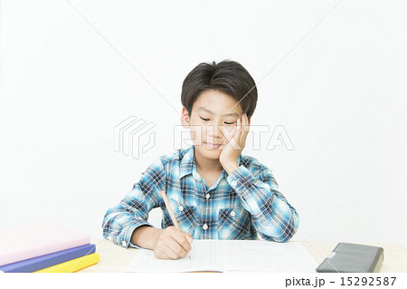 勉強する男の子 15292587