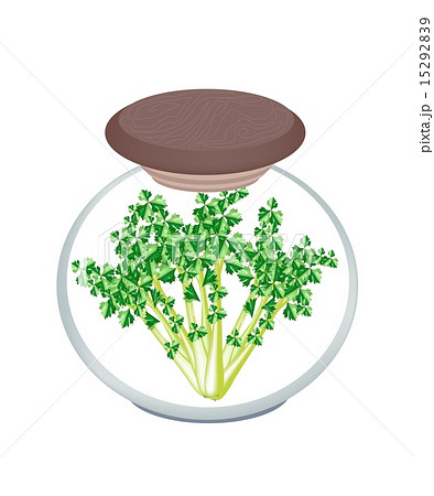 Jar of Pickled Garland Chrysanthemum Malt Vinegar 15292839