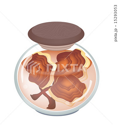 A Jar of Preserved Ling Zhi Mushroom A Jar of Preserved Ling Zhi Mushroom 15293053