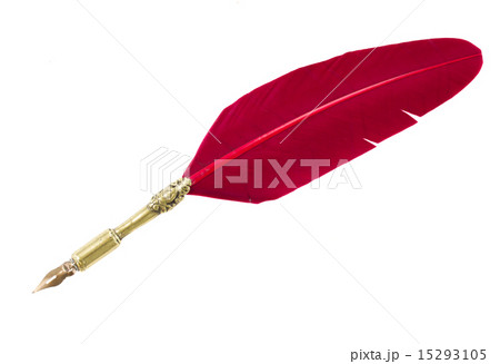 feather pen  15293105