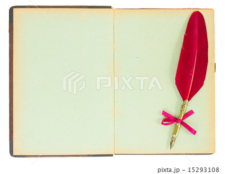 Old open book 15293108