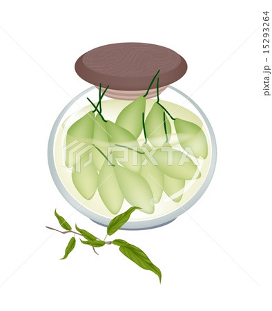 A Jar of Delicious Pickled Terminalia Chebula 15293264
