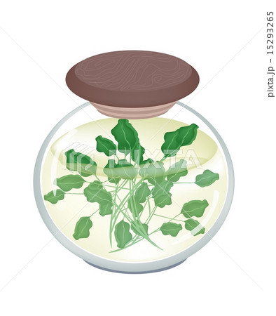 A Jar of Delicious Pickled Green Watercress 15293265
