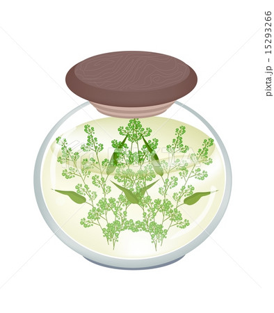 Jar of Pickled Neem Leaves and Blossoms 15293266