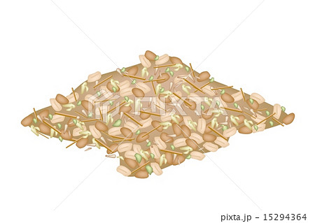 Thai Sweet Dessert with Peanut and Sesame 15294364