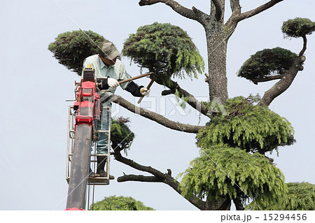 剪定する庭師 15294456