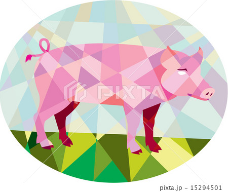 Tamworth Pig Side Oval Low Polygon 15294501