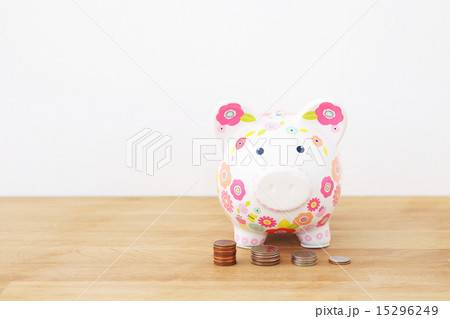 コインとブタ貯金箱 15296249