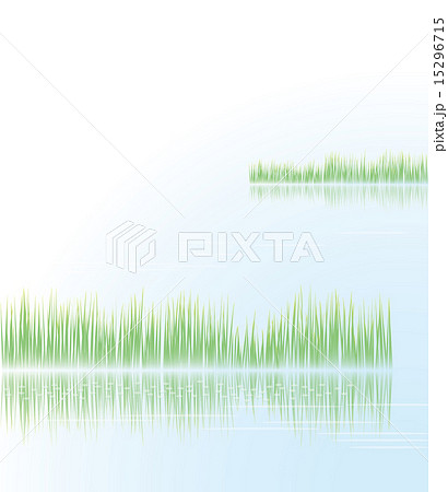 葦と湖面のイラスト素材