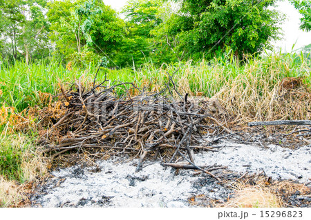 grass and branch burned area in waste lands grass and branch burned area in waste lands 15296823