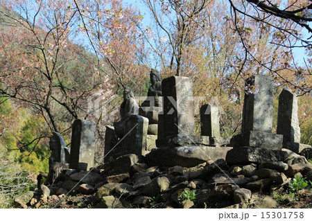 仏像に見守られるお墓　その２　　　　　　　：　　古来の石像　その２ 15301758