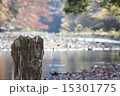 川と木 15301775