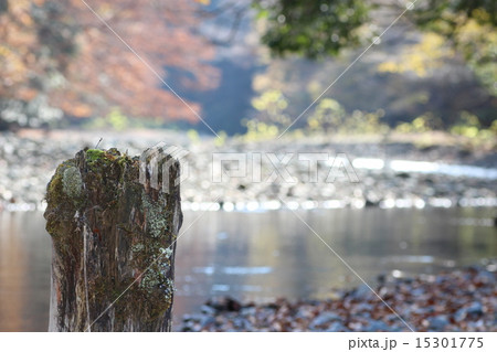 川と木 川と木 15301775