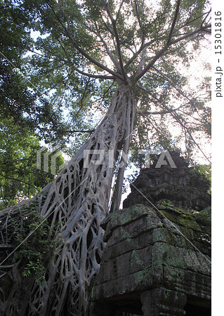 アンコール遺跡 アンコール遺跡 15301816