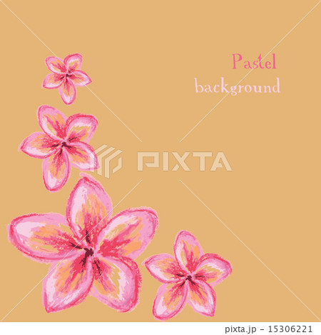 handmade drawing pastel chalks frangipani flower background handmade drawing pastel chalks frangipani flower background 15306221