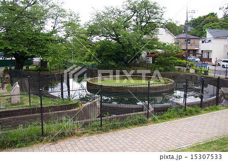 二ヶ領用水久地円筒分水 15307533
