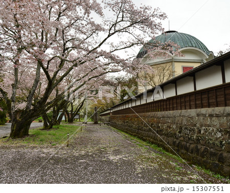 三島玉澤妙法華寺百間塀と桜並木の写真素材