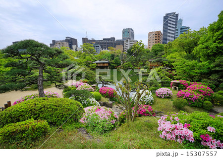 春の神戸相楽園 15307557