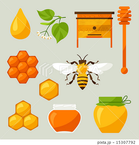 Set of honey and bee objects 15307792