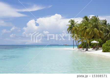 Scenery of resort island,Maldives 15308571