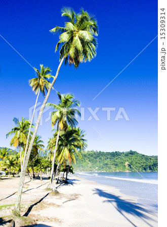 Maracas Bay, Trinidad Maracas Bay, Trinidad 15309314