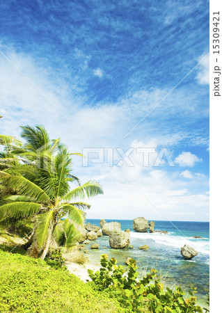 Bathsheba, East coast of Barbados, Caribbean 15309421