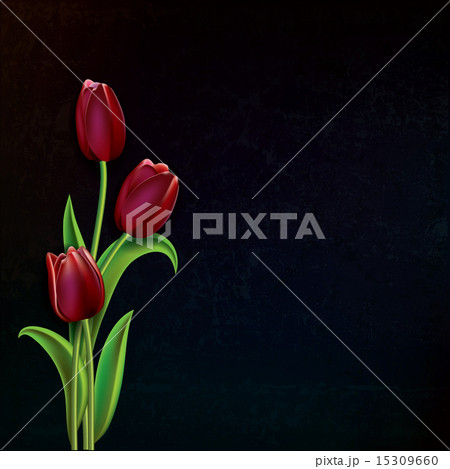 abstract grunge background with tulips 15309660