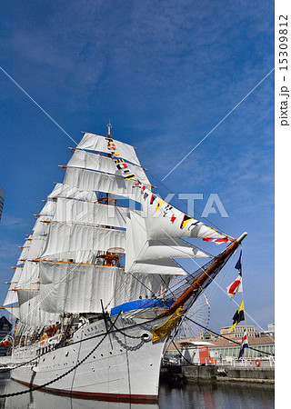 総帆展帆と満船飾の日本丸 15309812