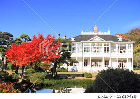 11月鳥取 仁風閣と紅葉 15310439