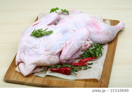 Raw duck Raw duck 15310690