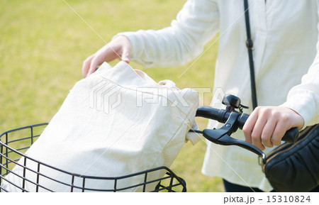 新緑シーズン 15310824