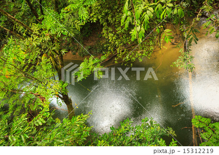 Small river in jungle Small river in jungle 15312219