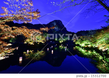 ライトアップ 15312700