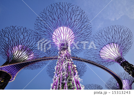 シンガポールの夜景 15313243