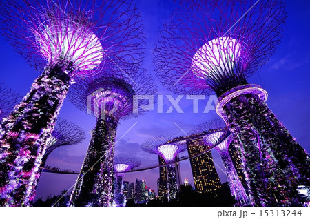 シンガポールの夜景 15313244