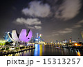 シンガポールの夜景 15313257